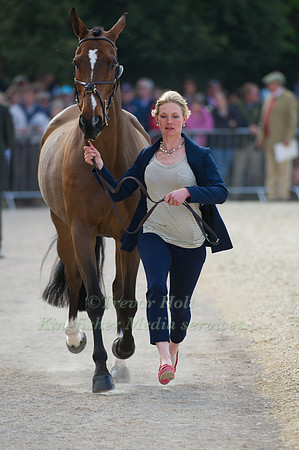 Lauren Shannon and Zero Flight