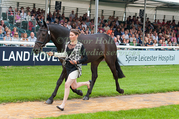 Kerry Varley (GBR) and Bluestone Luke at the 1st horse inspection
