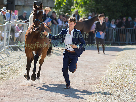 Christopher Burton of Australia and Nobilis 18