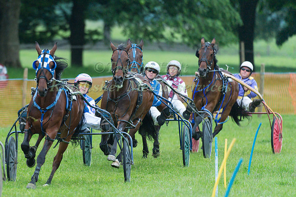 Helifield Harness Racing