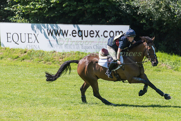 INDIANA LIMPUS (GBR) RIDING BRONZE DANDYLION