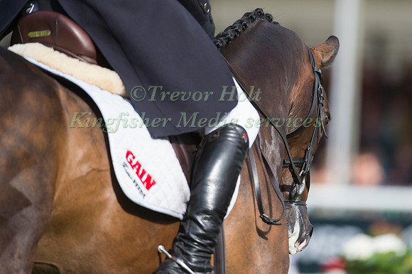 Oliver Townend (GBR) and  Samuel Thomas II