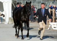 Andreas Dibowski of Germany and FRH Butts Avedon