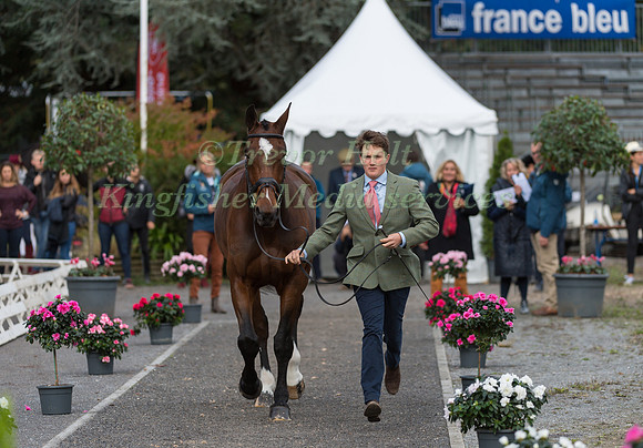 TOM MCEWEN (GBR) AND FIGARO VAN HET BROEKXHOF
