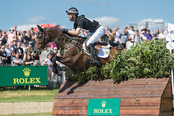 CLARKE JOHNSTONE AND LEOPARD'S ACTION