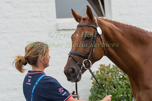 PIGGY FRENCH (GBR) AND QUARRYCREST ECHO