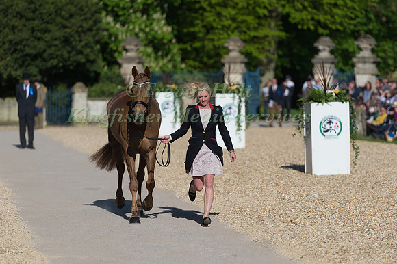 GEORGIE SPENCE (GBR) AND  HALLTOWN HARLEY