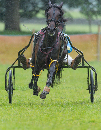 Helifield Harness Racing