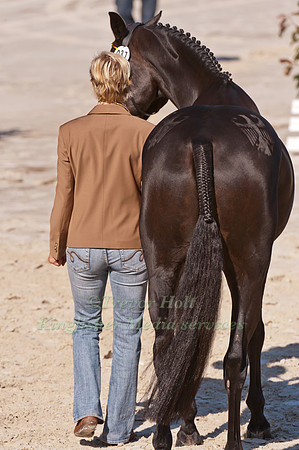 Ingrid Klimke and FRH Butts Abraxxas