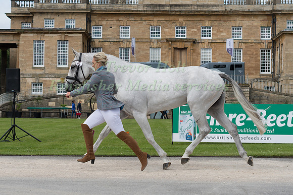 GEMMA TATTERSALL (GBR) AND QUICKLOOK V AT THE EQUI-TREK CCI *** FINAL HORSE INSPECTION OF THE 2017 BRAMHAM INTERNATIONAL HORSE TRIALS