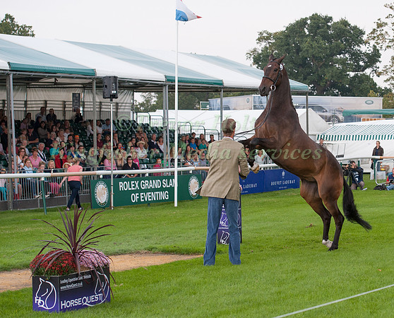 William Fox-Pitt (GBR) and Bay My Hero at the 1st horse inspection
