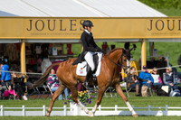 EMILY KING (GBR) RIDING  DARGUN COMPETING IN THE  DRESSAGE PHASE OF THE  CIC THREE STAR COMPETITION AT THE  2017 DODSON AND HORRELL  CHATSWORTH INTERNATIONAL HORSE TRIAL.