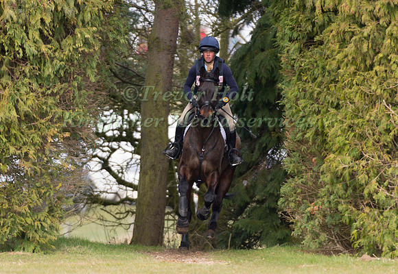 ROSALIND CANTER  RIDING GRAFICS