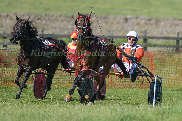 Harness racing at Helifield , Yorkshire