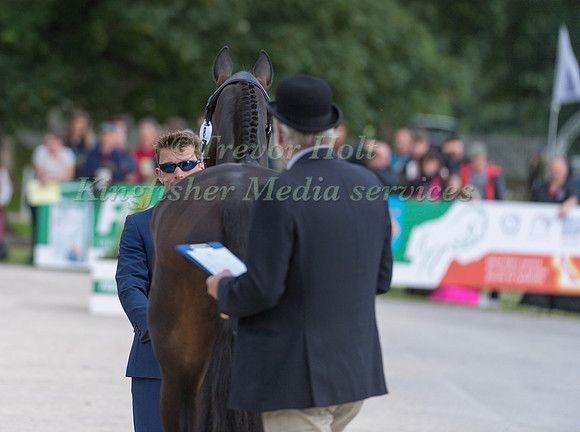 SIMON GRIEVE (GBR) AND DRUMBILLA METRO AT THE EQUI-TREK CCI *** FINAL HORSE INSPECTION OF THE 2017 BRAMHAM INTERNATIONAL HORSE TRIALS