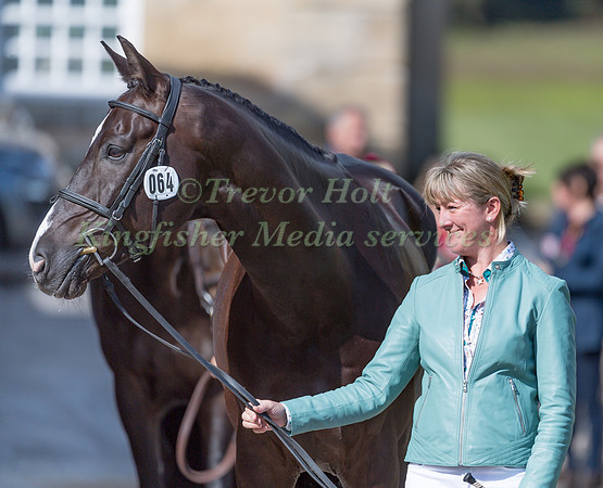 NICOLA WILSON (GBR) AND YACABO BK