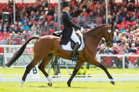 Niklas Bschorer (GER) riding Tom Tom Go 3