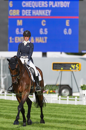Dee Hankey (GBR) and  Chequers Playboy