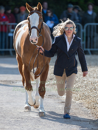 IZZY TAYLOR  (GBR) AND  PERFECT STRANGER