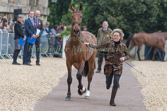 Pippa Funnell (GBR) and  Majas Hope