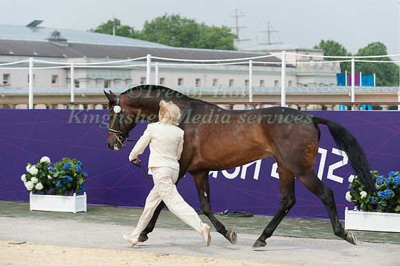 Alena Tseliapushkina and Passat
