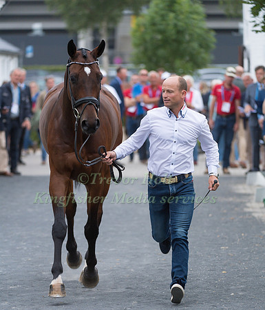 MICHAEL JUNG (GER) AND FISCHERCHIPMUNK FRH