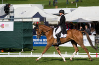 EMILY KING (GBR) RIDING  DARGUN COMPETING IN THE  DRESSAGE PHASE OF THE  CIC THREE STAR COMPETITION AT THE  2017 DODSON AND HORRELL  CHATSWORTH INTERNATIONAL HORSE TRIAL.