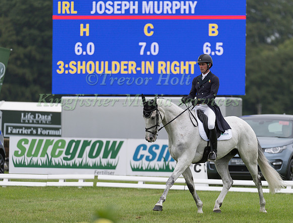 JOSEPH  MURPHY (IRL) AND FERNHILL FRANKIE II