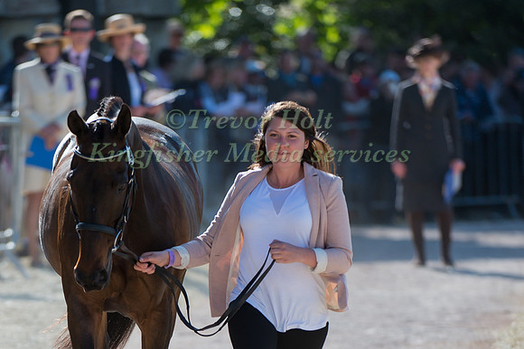 Libby Head of the United States of America and Sir Rockstar