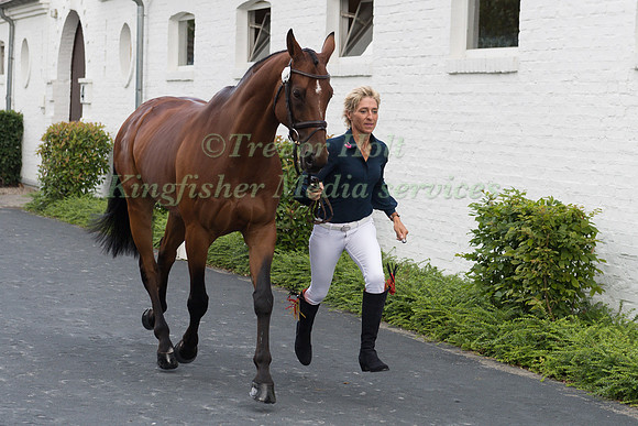 INGRID KLIMKE (GER) AND HORSEWARE HALE BOB