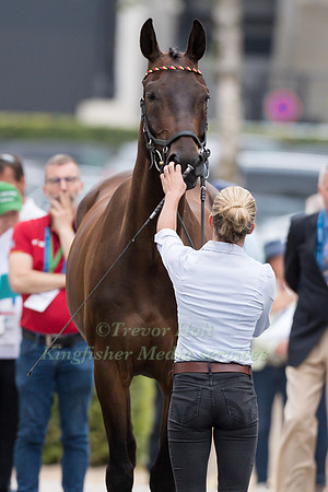 JOSEFA SOMMER (GER) AND HAMILTON 24