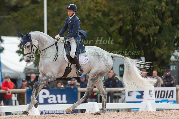 Tim Lips of the Netherlands riding Concrex Bayro