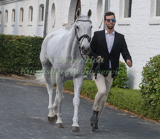 CLARKE JOHNSTONE (NZL) AND BALMORAL SENSATION