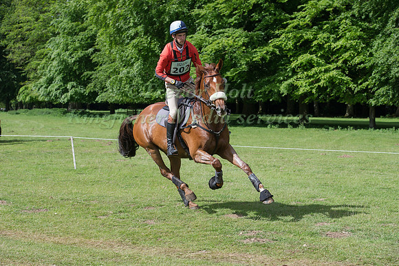 Arthur  Duffort (FRA)  riding Herbst Golden Eclipse