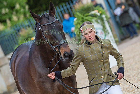 Nicky Hill (GBR) and  MGH Bingo Boy