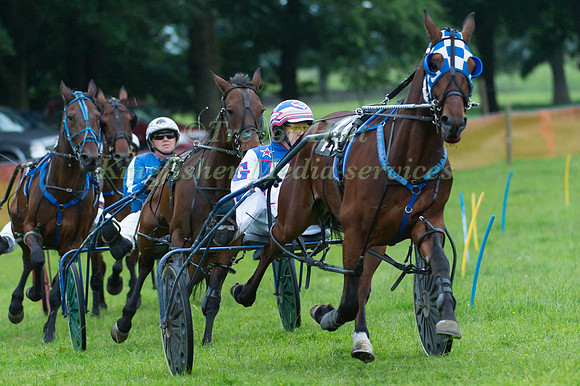 Helifield Harness Racing