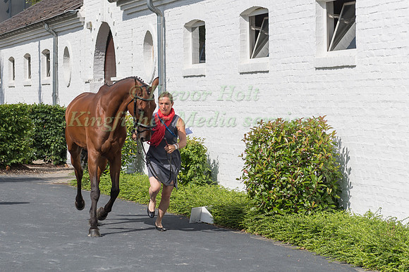 HELENE VATTIER (FRA) AND QUITO DE BALIERE