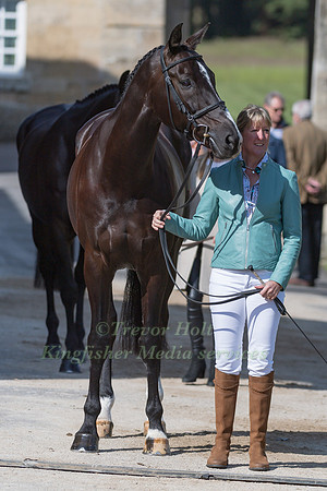 NICOLA WILSON (GBR) AND YACABO BK