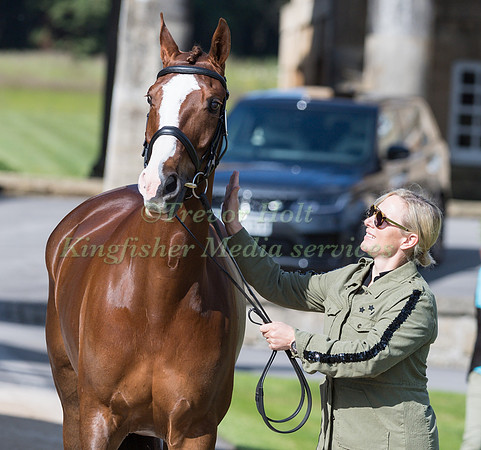 ZARA TINDALL (GBR) AND CLASS AFFAIR