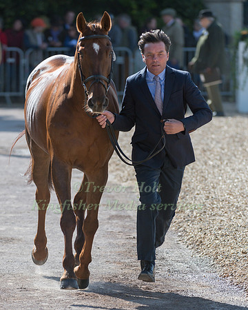 DAN JOCELYN (NZL) AND  DASSETT COOL TOUCH
