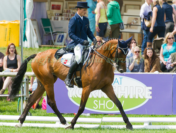 Aurelein Leroy and Rhexia De Petra
