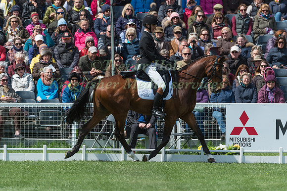 Tom Jackson (GBR) riding Waltham Fiddlers Find in the Dressage phase  of  the 2017 Mitsubishi Motors  Badminton Horse Trials