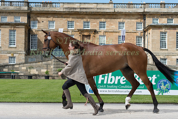LAURA COLLETT (GBR) AND MR BASS AT THE EQUI-TREK CCI *** FINAL HORSE INSPECTION OF THE 2017 BRAMHAM INTERNATIONAL HORSE TRIALS B