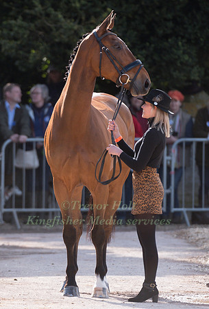 GEORGIE STRANG  (GBR) AND  COOLEY EARL