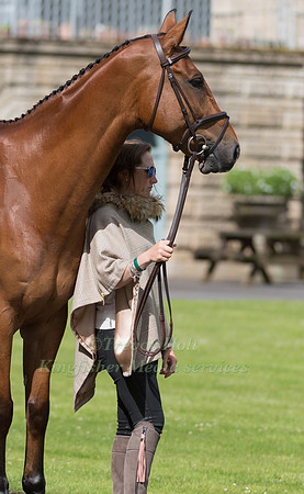 LAURA COLLETT (GBR) AND MR BASS AT THE EQUI-TREK CCI *** FINAL HORSE INSPECTION OF THE 2017 BRAMHAM INTERNATIONAL HORSE TRIALS