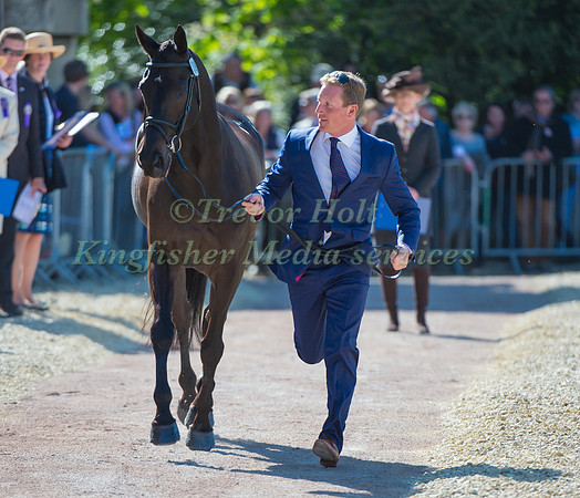 Oliver Townend of Great Britain  and Black Tie