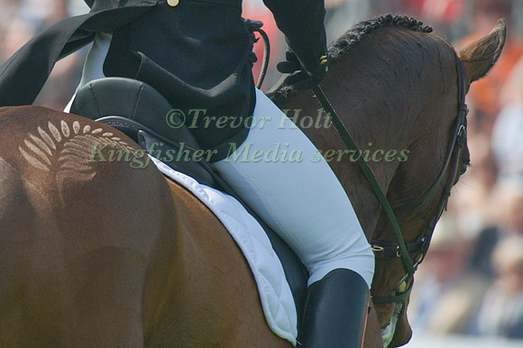 Caroline Powell * Boston Two Tip