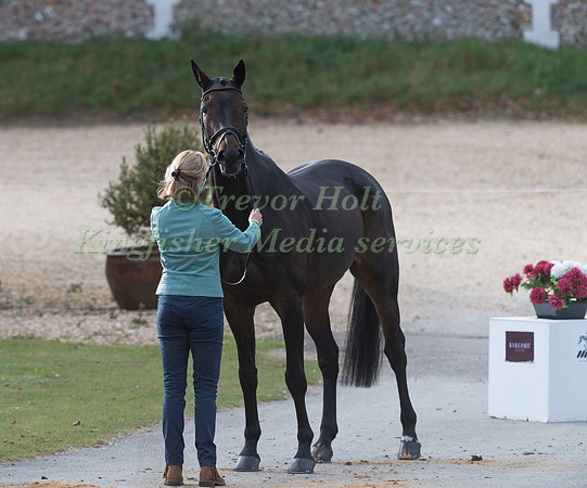 NICOLA WILSON AND JL DUBLIN