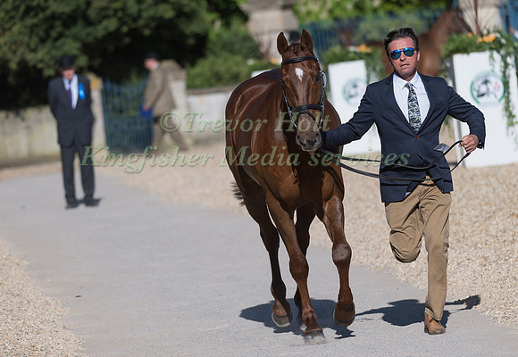 DAN JOCELYN (NZL) AND  DASSETT COOL TOUCH