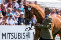 ANDREW NICHOLSON (NZL) AND  NEREO